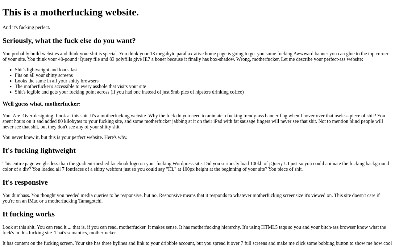 Actual screenshot of Motherfucking Website